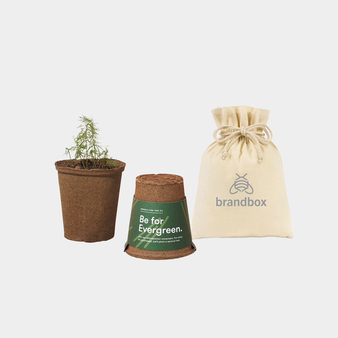 Modern Sprout® One For One Tree Kits